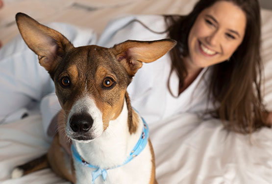 Facilidades Hilton Porto Alegre